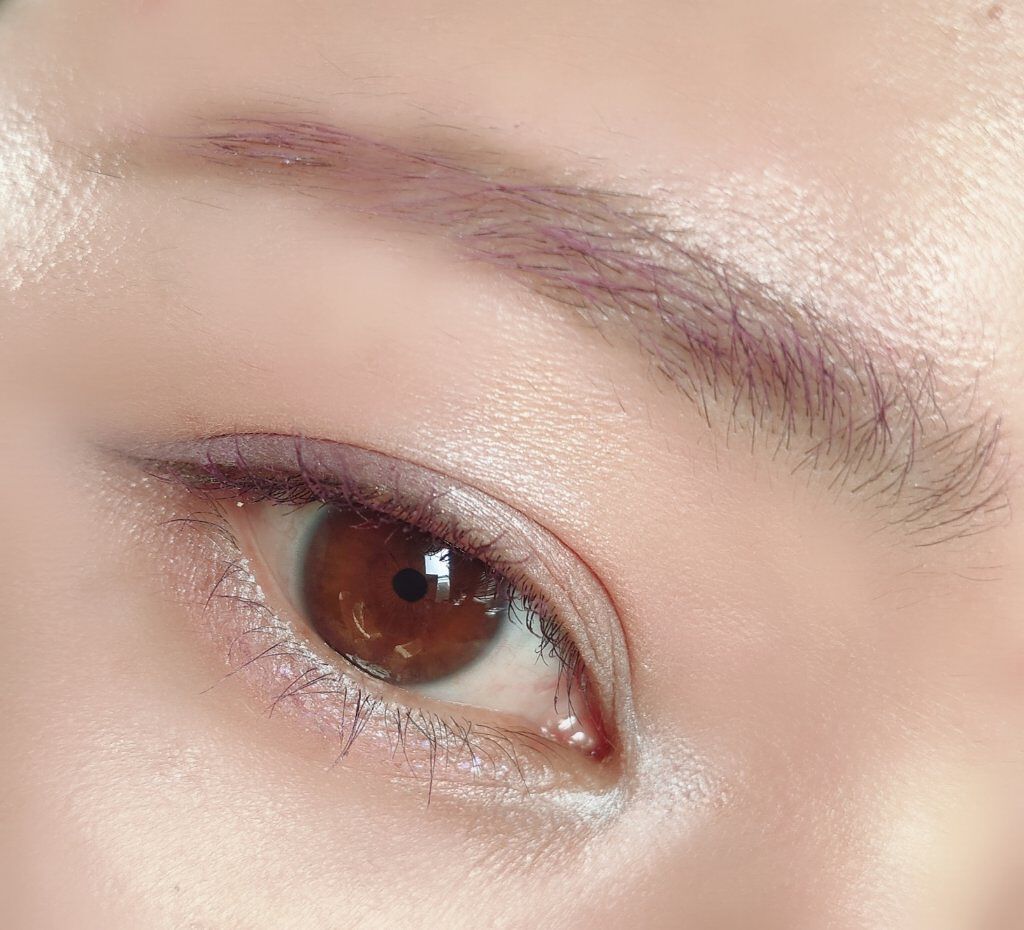 アイパレット EX05 フローラライラック/ナチュラグラッセ/アイシャドウパレットを使ったクチコミ（1枚目）