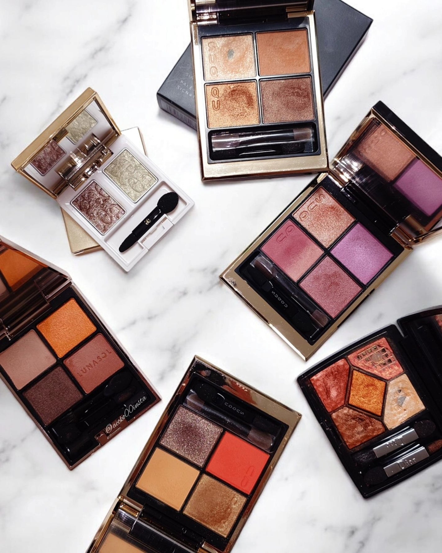 サンク クルール<ワイルド アース>/Dior/アイシャドウパレットを使ったクチコミ(1枚目)