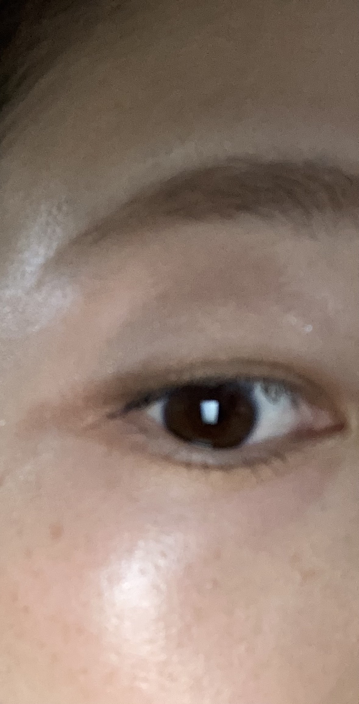 デザイニングアイカラー 01 ナチュラルブラウン/rafuna/アイシャドウパレットを使ったクチコミ（2枚目）