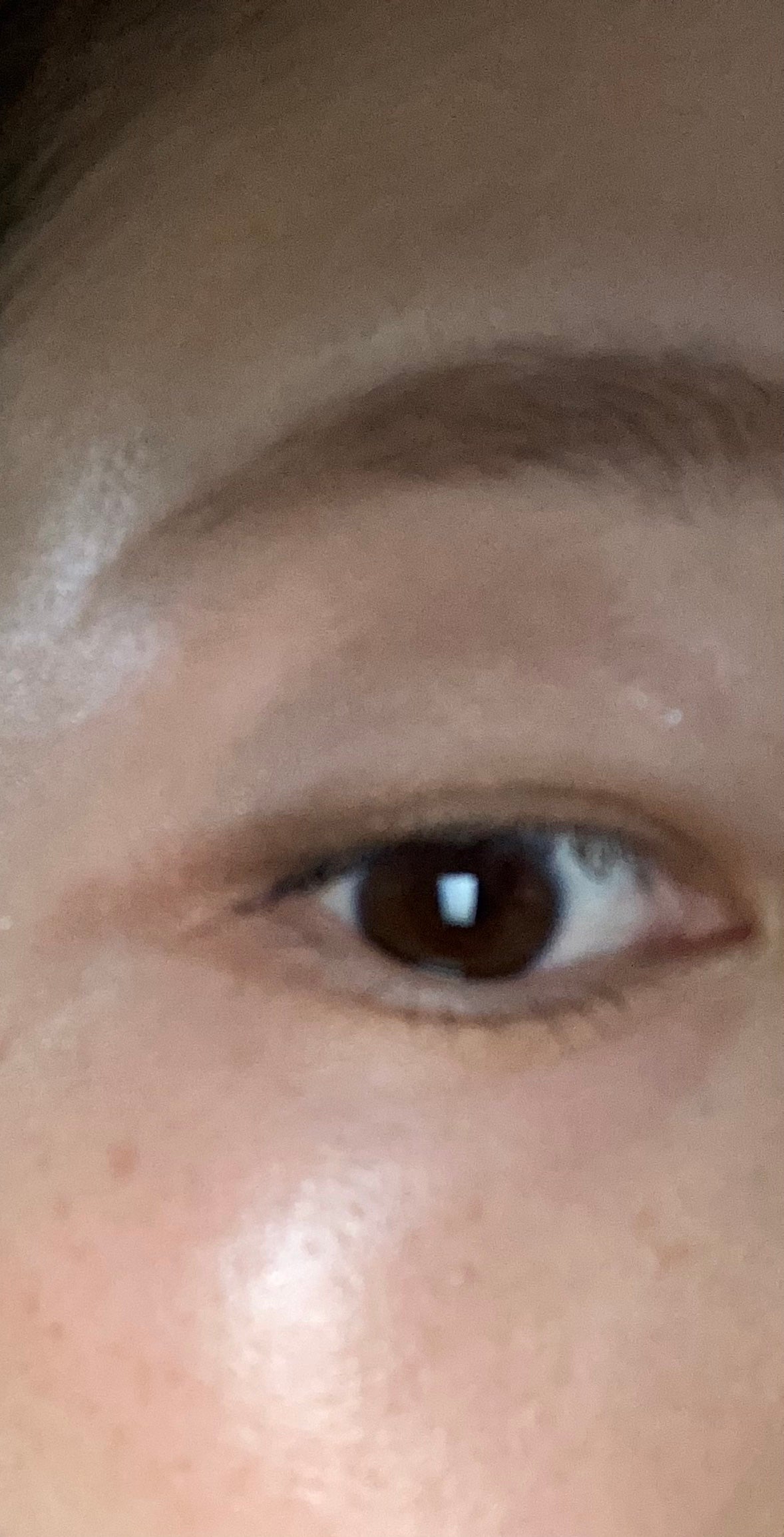 デザイニングアイカラー/rafuna/アイシャドウパレットを使ったクチコミ(2枚目)