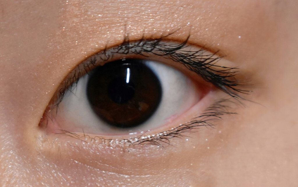 シャドーカスタマイズ/MAJOLICA MAJORCA/単色アイシャドウを使ったクチコミ(2枚目)