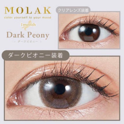 MOLAK 1month/MOLAK/1ヶ月(1MONTH)カラコンを使ったクチコミ(1枚目)