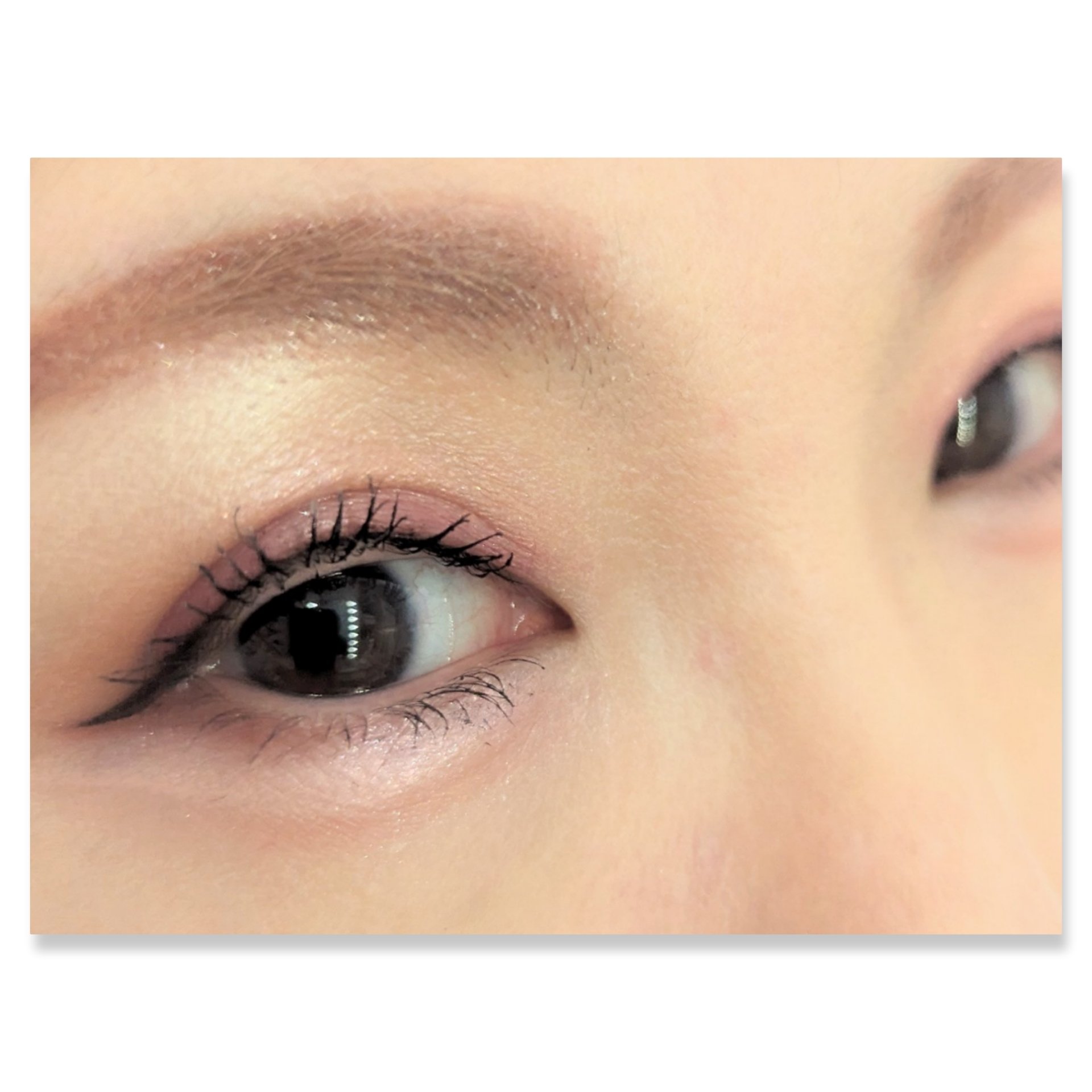 プレイカラーアイズミニ　ローズボム ローズボム/ETUDE/アイシャドウパレットを使ったクチコミ（2枚目）