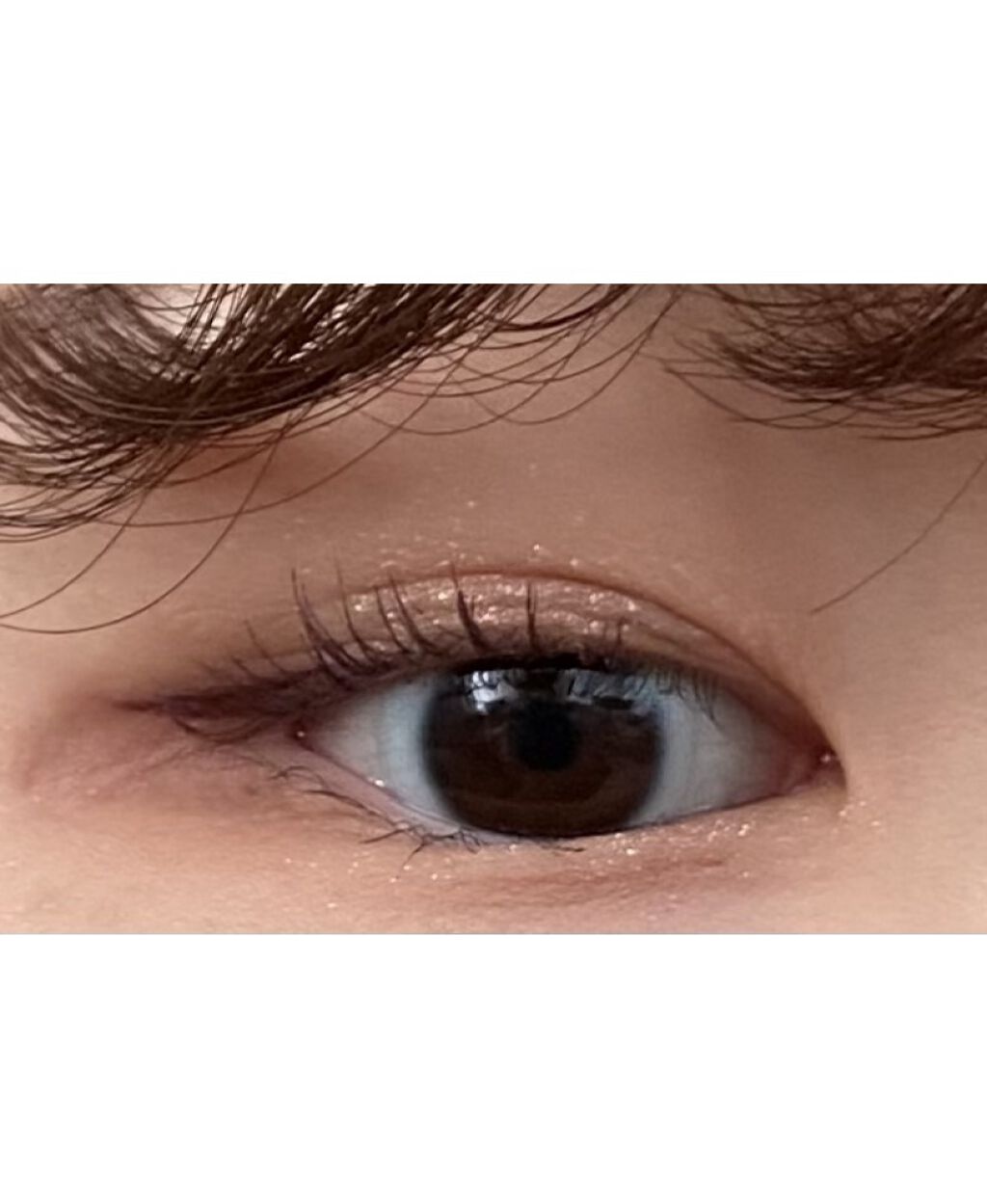 プロ アイパレット ミニ/CLIO/アイシャドウパレットを使ったクチコミ（3枚目）