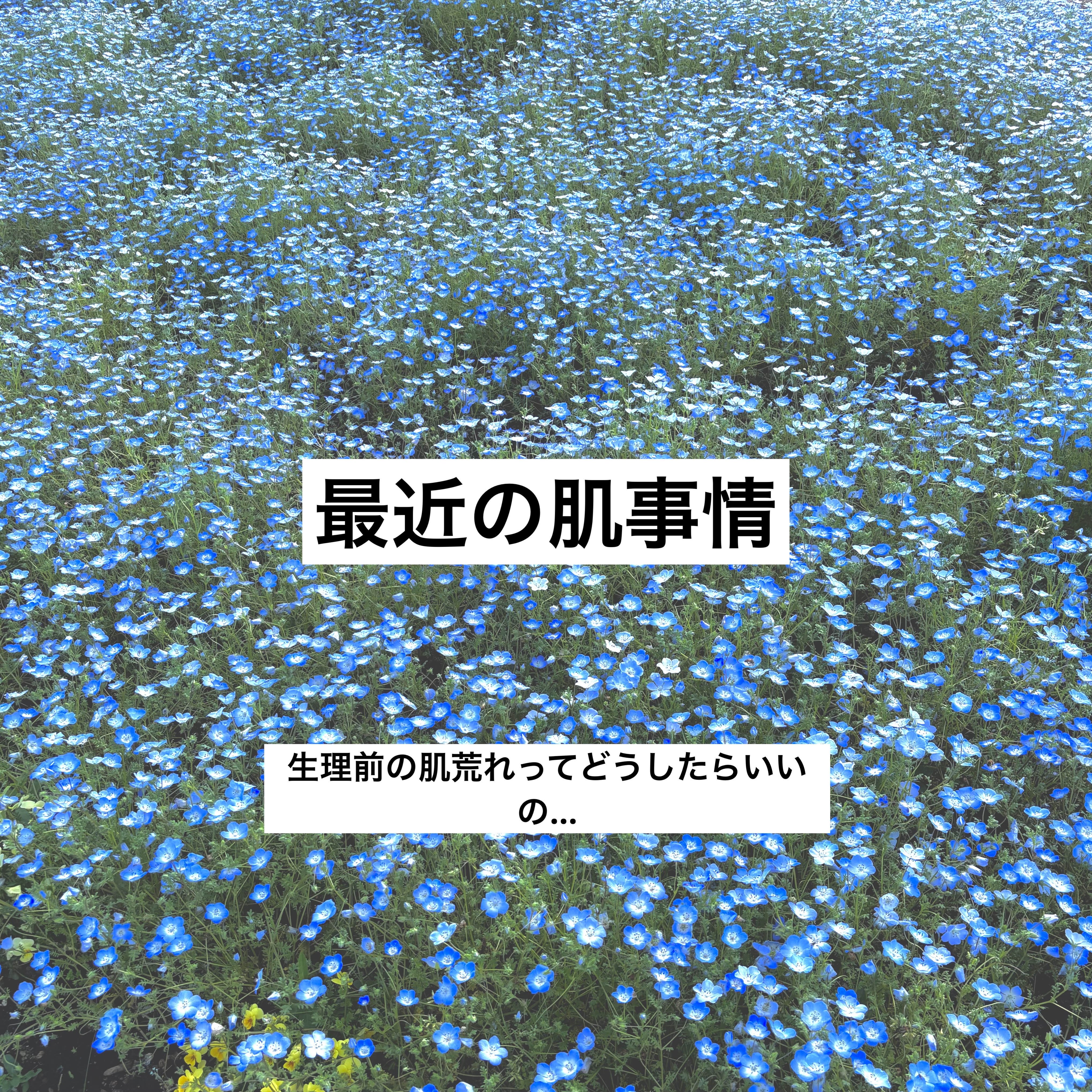 ネオ小町錠(医薬品)/摩耶堂製薬/その他を使ったクチコミ（1枚目）