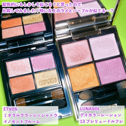 ミネラルクラッシィシャドー/エトヴォス/アイシャドウパレットを使ったクチコミ(6枚目)