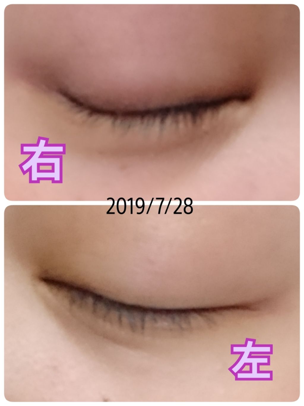 ラッシュジェリードロップ　ＥＸ/MAJOLICA MAJORCA/まつげ美容液を使ったクチコミ（2枚目）