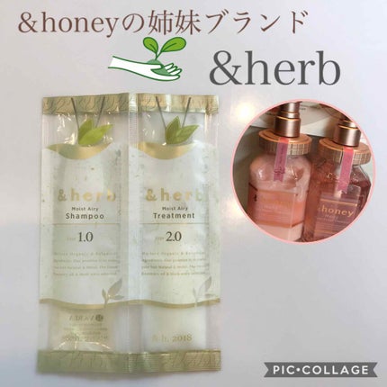 モイストエアリーシャンプー1.0/&herb/市販シャンプーを使ったクチコミ(1枚目)