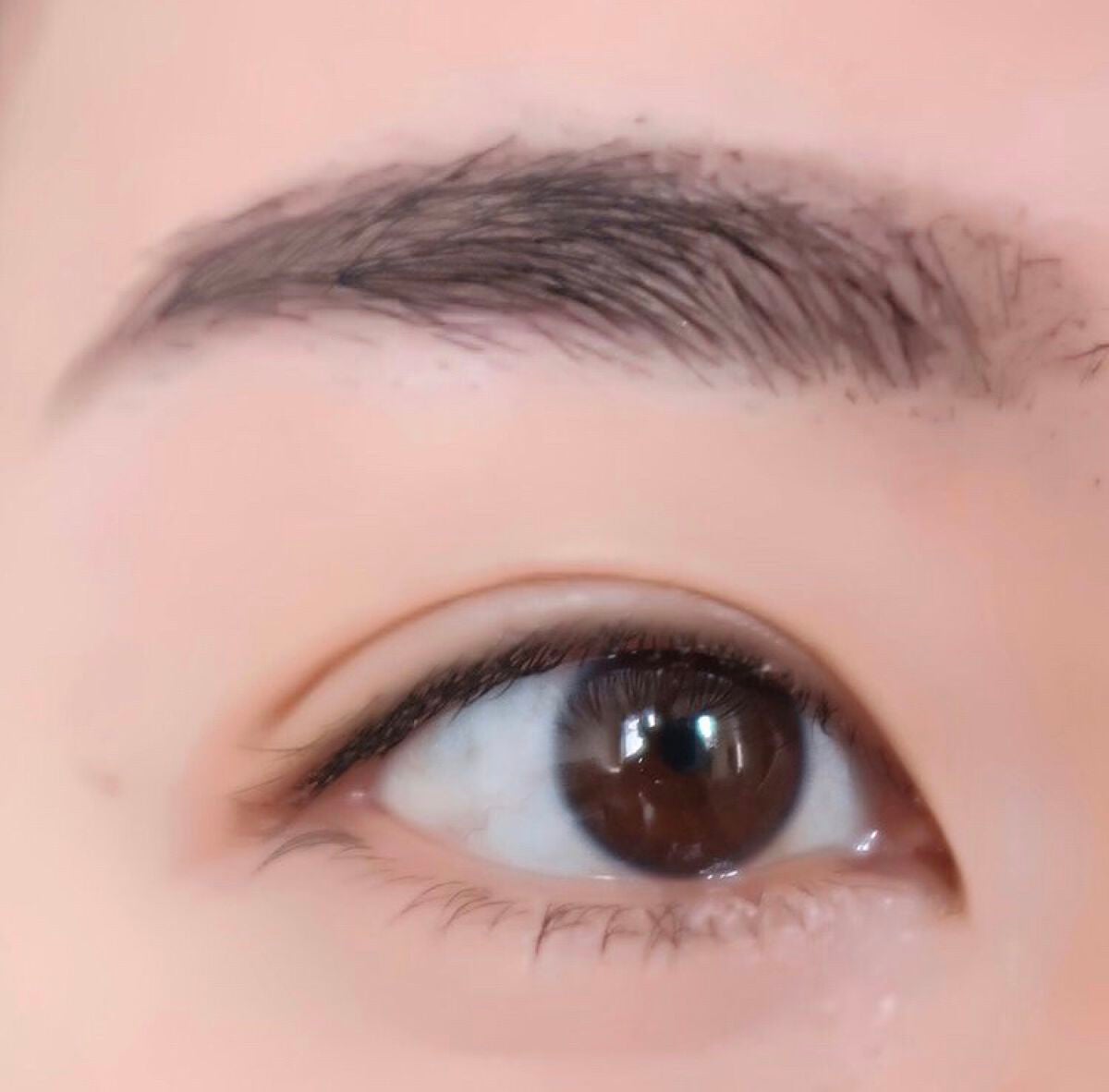 パウダリーアイブロウ/CEZANNE/パウダーアイブロウを使ったクチコミ(3枚目)