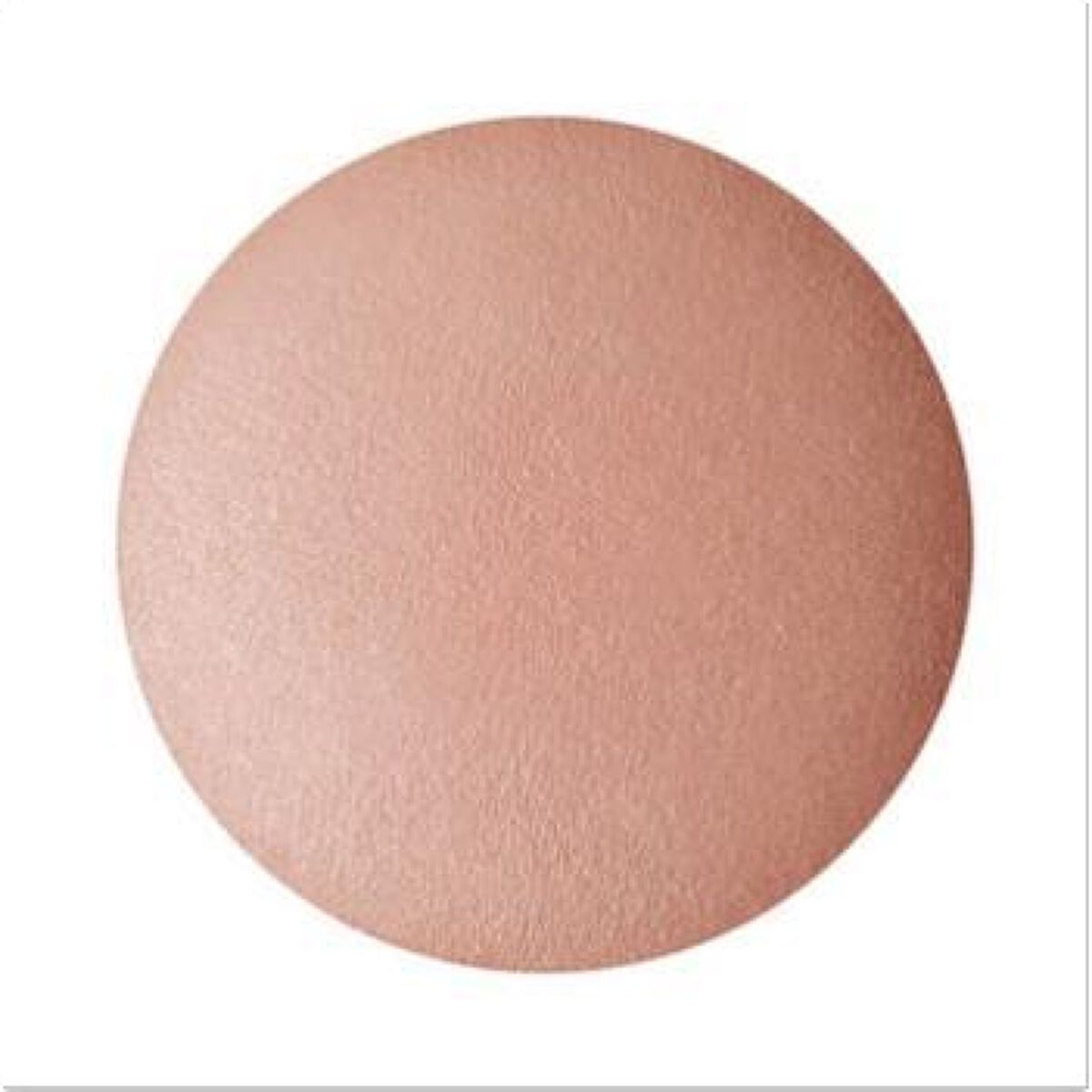 パウダー ブラッシュ 301