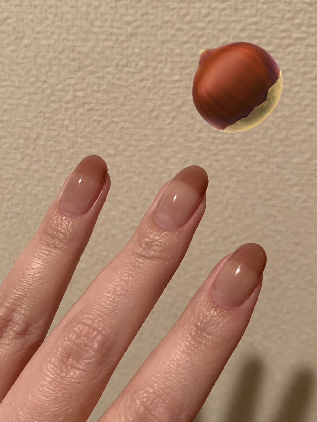 パル カラージェル ブラウン/キャンドゥ/ジェルネイルを使ったクチコミ（1枚目）