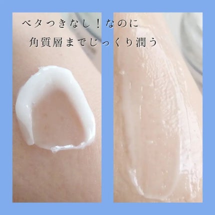 白樺水分クリーム/ROUND LAB/フェイスクリームを使ったクチコミ(8枚目)