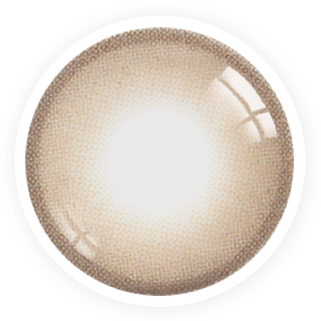 ビバエリート ブラウン