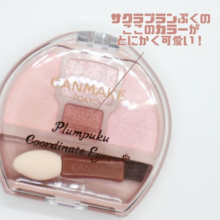 プランぷくコーデアイズ/キャンメイク/パウダーアイシャドウを使ったクチコミ(5枚目)