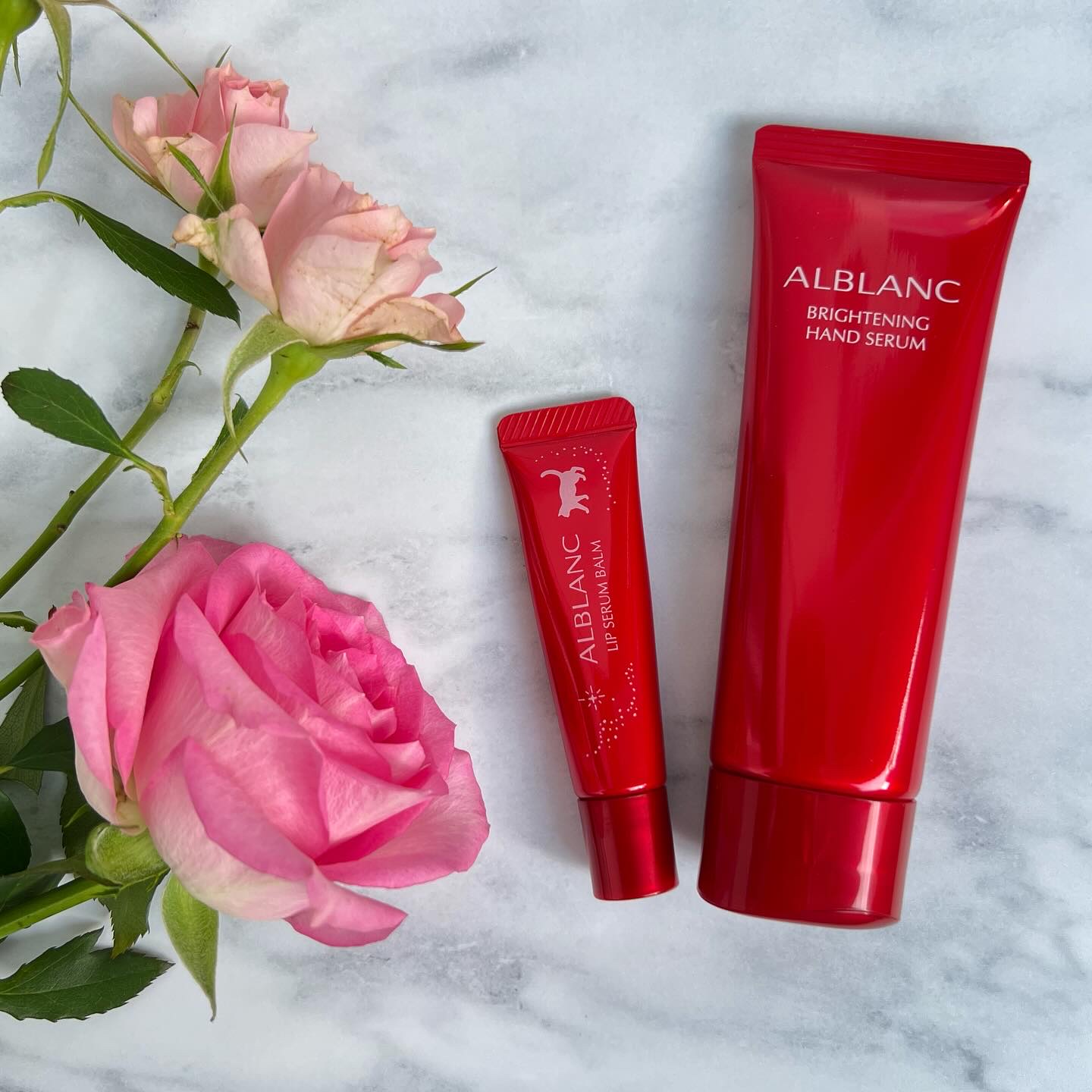 ハンド&リップ セラム セット/ALBLANC/その他キットセットを使ったクチコミ（3枚目）