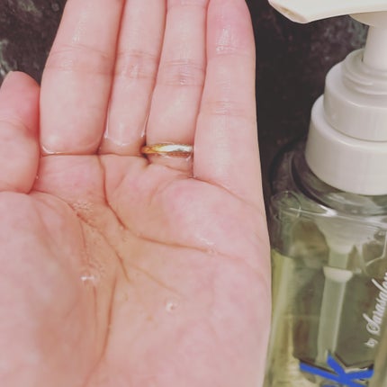 グレースリペアシャンプー/トリートメント/スリーク by サラサロン/市販シャンプーを使ったクチコミ(2枚目)