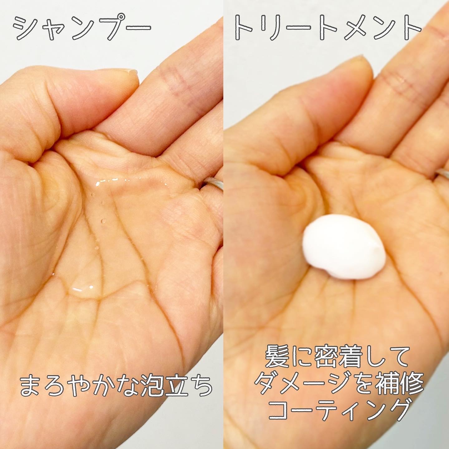 SHI-KOU モイスト シャンプー/トリートメント/紫光/市販シャンプーを使ったクチコミ（3枚目）