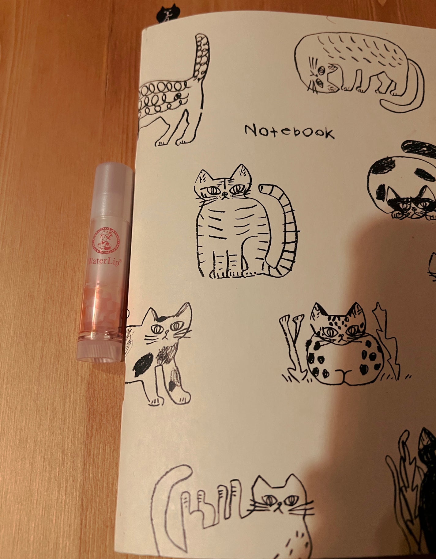 ウォーターリップ モイスチャーミルク/メンソレータム/リップクリームを使ったクチコミ(1枚目)