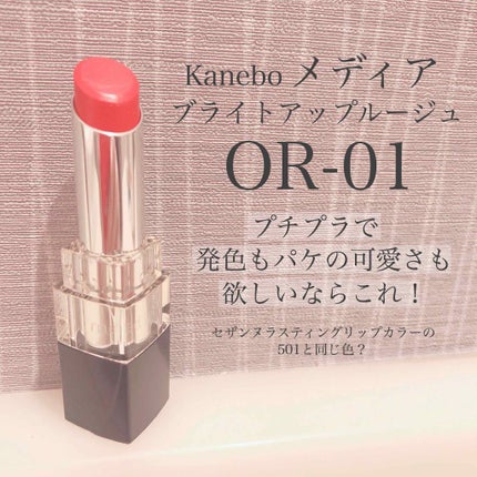 ブライトアップルージュ OR-01/media/口紅の画像