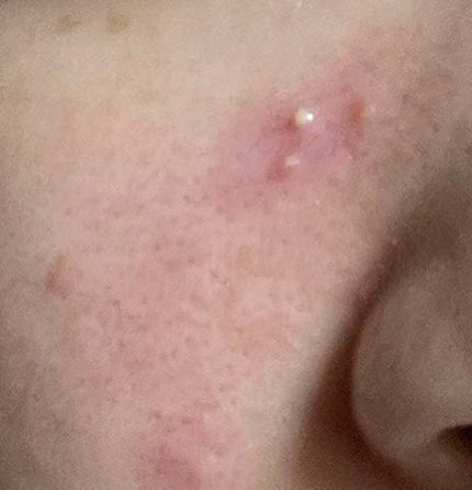 を使ったクチコミ(2枚目)