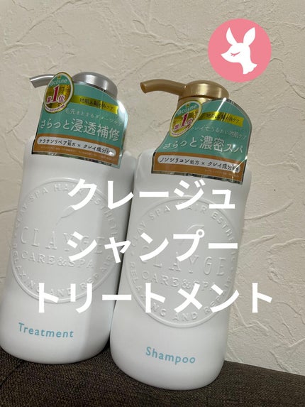 シャンプー/トリートメント SN さらさら/CLAYGE/シャンプー・コンディショナーを使ったクチコミ(1枚目)