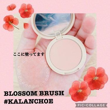 ブロッサムブラッシュ  #KALANCHOE/CILY/パウダーチークを使ったクチコミ（3枚目）