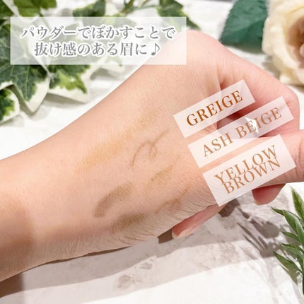 ロングステイ アイブロウパウダー&ペンシル/ブリリアージュ/アイブロウペンシルを使ったクチコミ(6枚目)