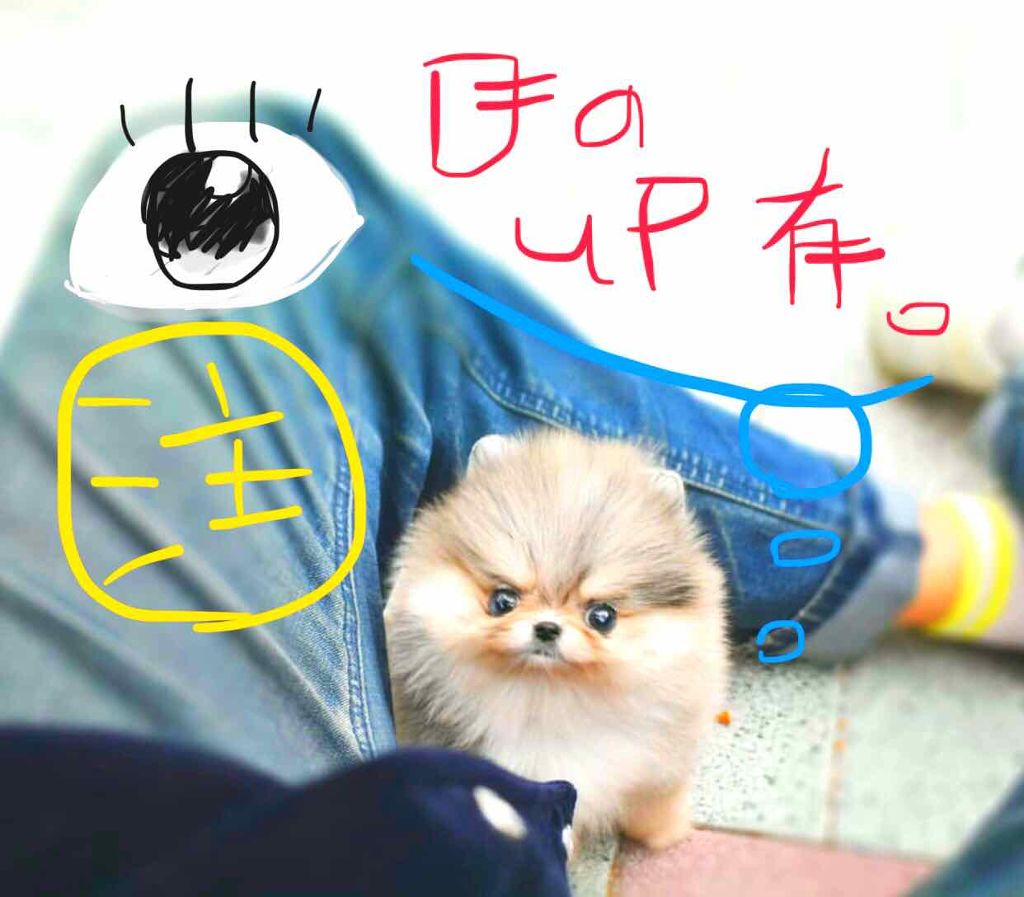 ヴィセ アヴァン リキッドアイカラー/Visée/リキッドアイシャドウを使ったクチコミ（1枚目）