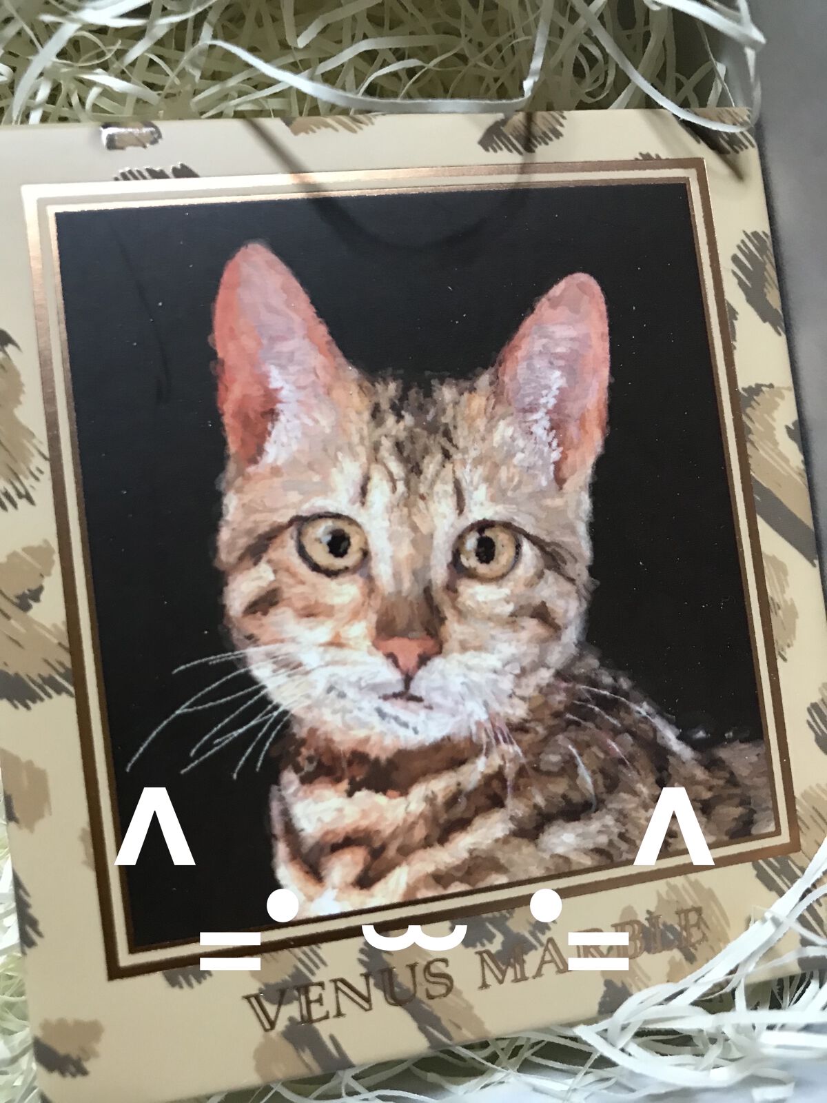 カラーリングアイブロウ/ヘビーローテーション/眉マスカラを使ったクチコミ（2枚目）