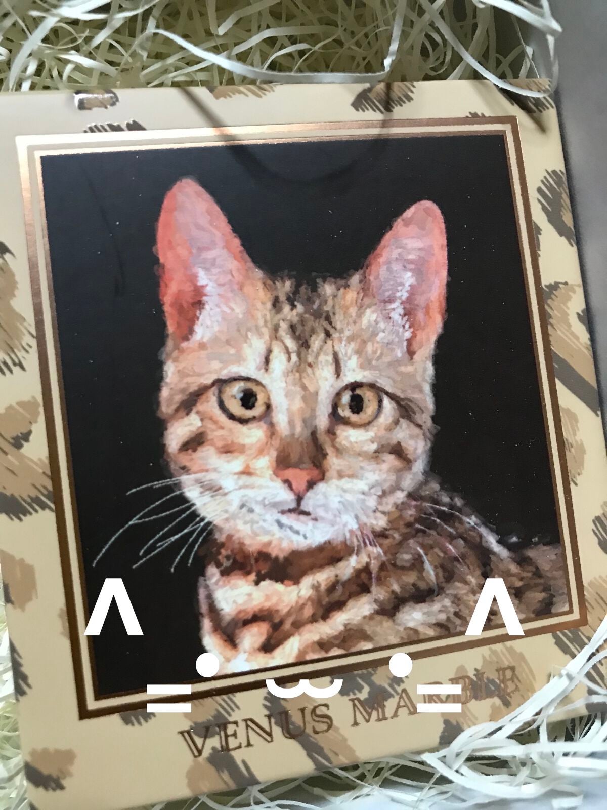 カラーリングアイブロウ/ヘビーローテーション/眉マスカラを使ったクチコミ(2枚目)