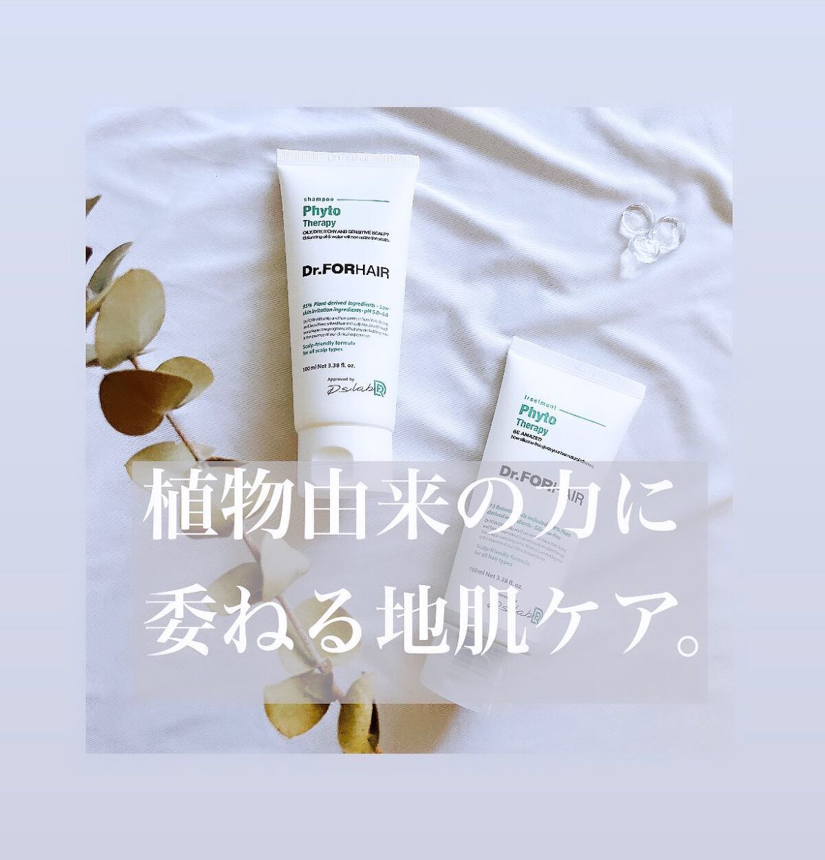 を使ったクチコミ（1枚目）