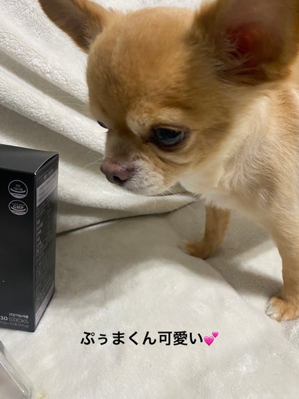 SHIKOOTAENG /LIZVIEW/ドリンクを使ったクチコミ(4枚目)