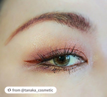 アイ カラー クォード/TOM FORD BEAUTY/アイシャドウパレットを使ったクチコミ(3枚目)