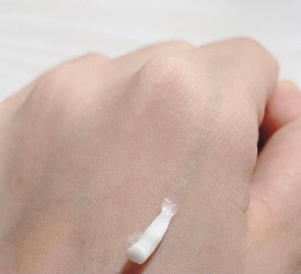 ラスティングマルチアイベース WP/キャンメイク/アイシャドウベースを使ったクチコミ(2枚目)