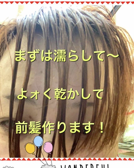 プレミアムスリーク ハイドロリニュー ミスト リッチモイスト(しっとりタイプ)/スティーブンノル ニューヨーク/ヘアミストを使ったクチコミ(2枚目)