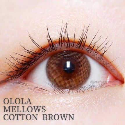 メローズ(Mellows)/OLOLA/カラーコンタクトレンズを使ったクチコミ(1枚目)