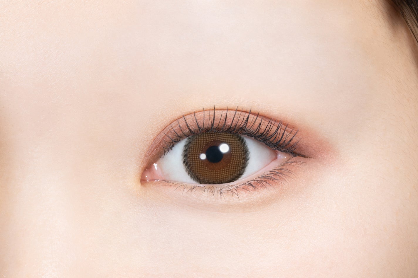 melady 1day ミレディブラウン