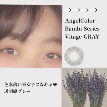 Angelcolor Bambi Series Vintage 1day ヴィンテージグレー/AngelColor/ワンデー（１DAY）カラコンを使ったクチコミ（1枚目）
