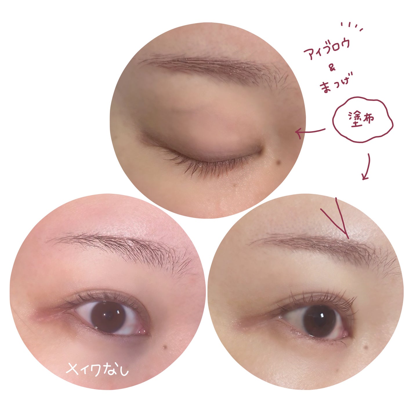 「塗るつけまつげ」自まつげ際立てタイプ/デジャヴュ/マスカラを使ったクチコミ(4枚目)