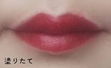 リップスティック/M・A・C/口紅を使ったクチコミ(2枚目)