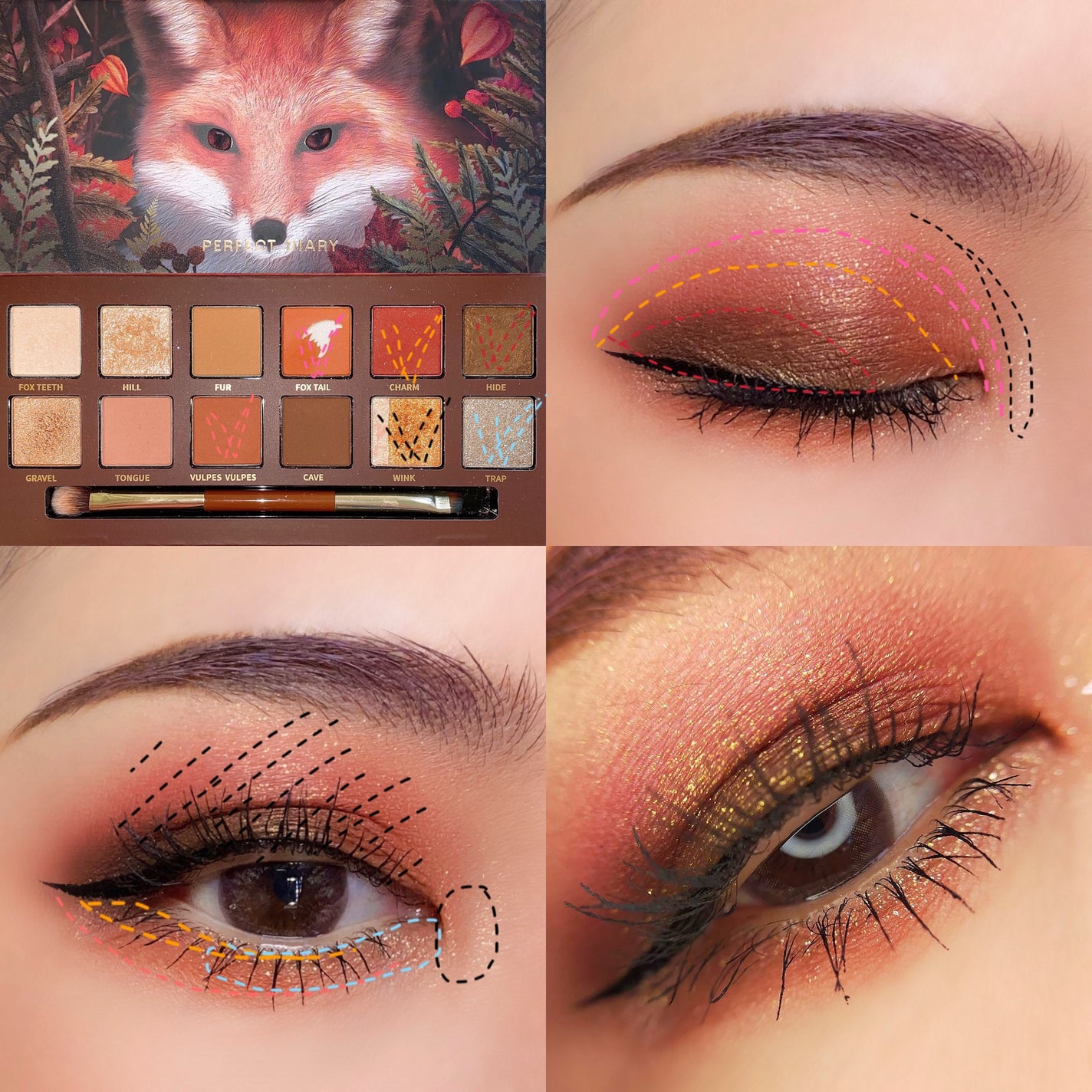 エクスプローラ12色 動物アイシャドウパレット/PERFECT DIARY/アイシャドウパレットを使ったクチコミ(4枚目)