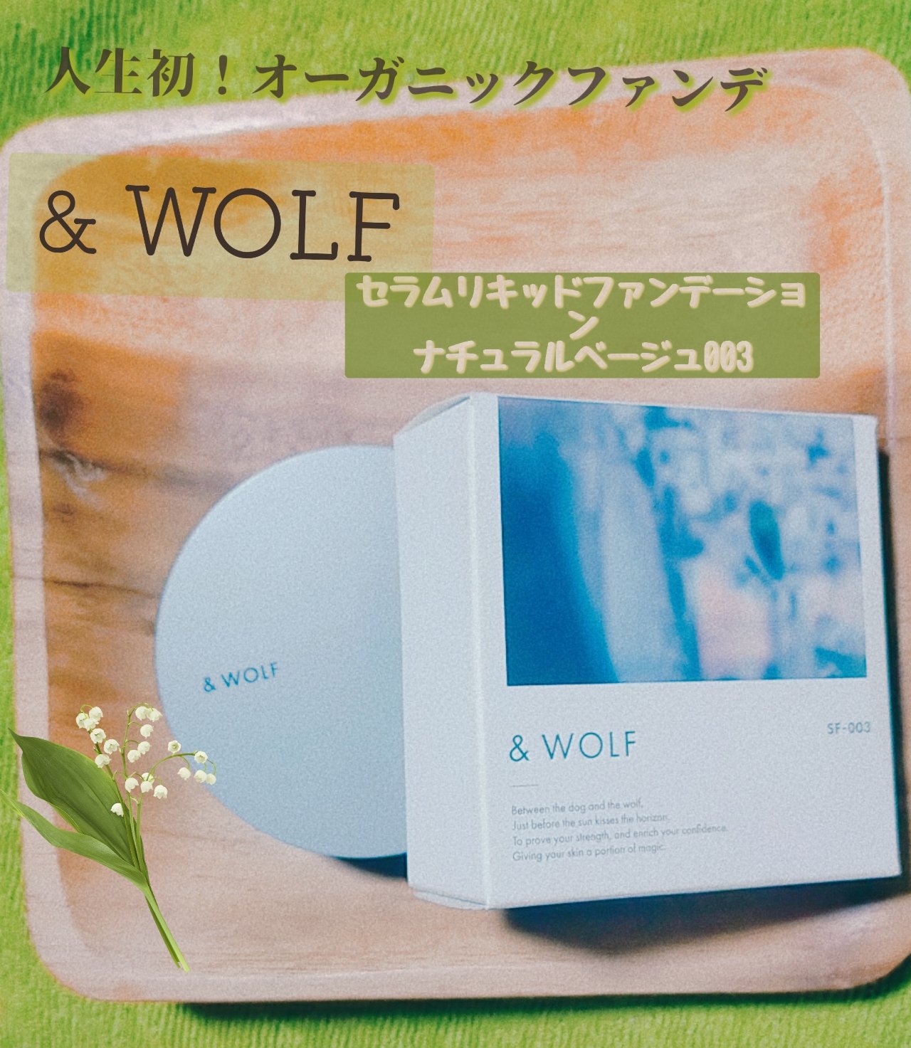 試してみた】セラムリキッドファンデーション & WOLFの人気色