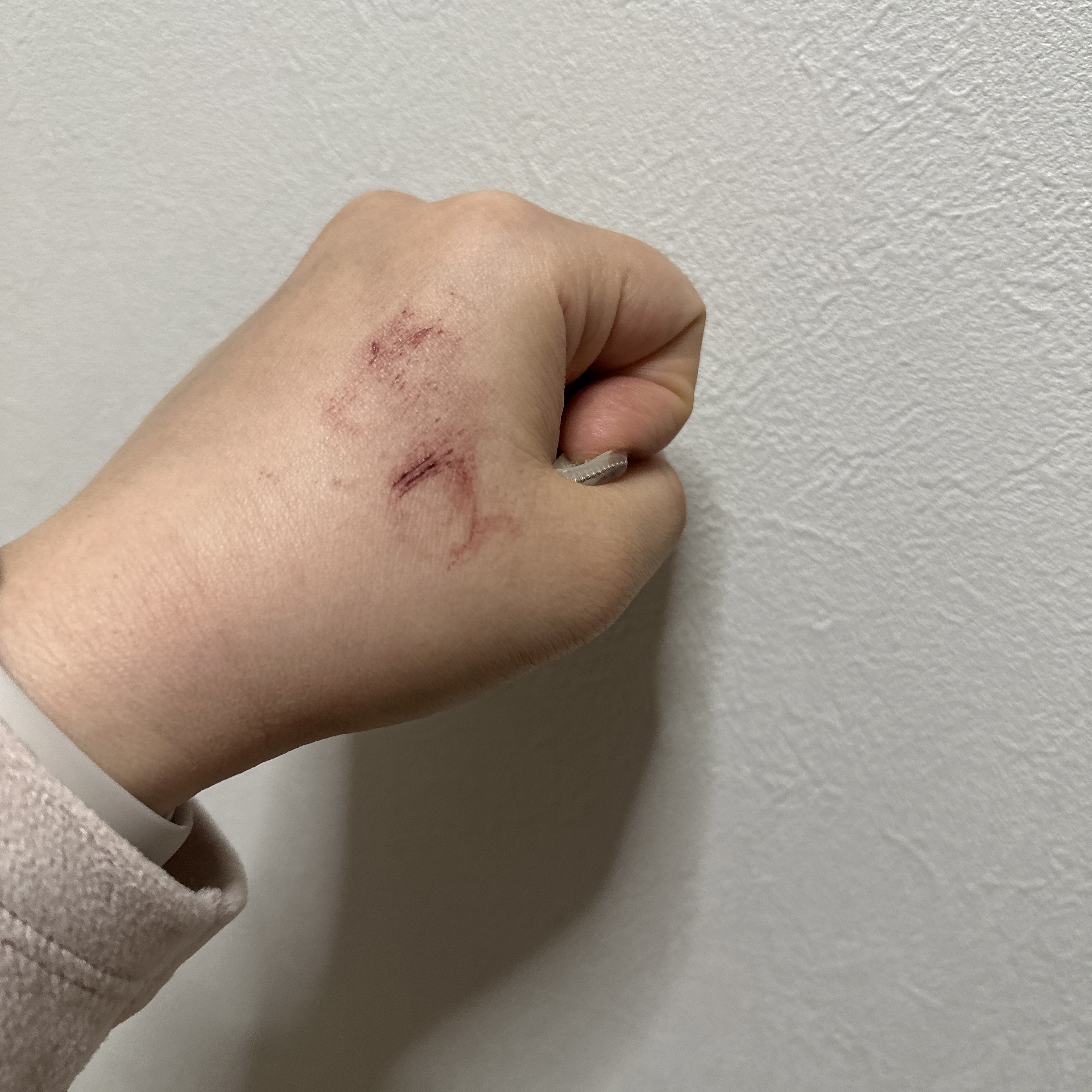 クイックラッシュカーラー WM ワインモーヴ/キャンメイク/マスカラ下地を使ったクチコミ（3枚目）