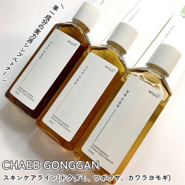 スキンケアトナー/CHAEB GONGGAN/化粧水を使ったクチコミ（1枚目）