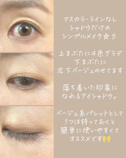 スキンモデリングアイズ/LUNASOL/アイシャドウパレットを使ったクチコミ(6枚目)