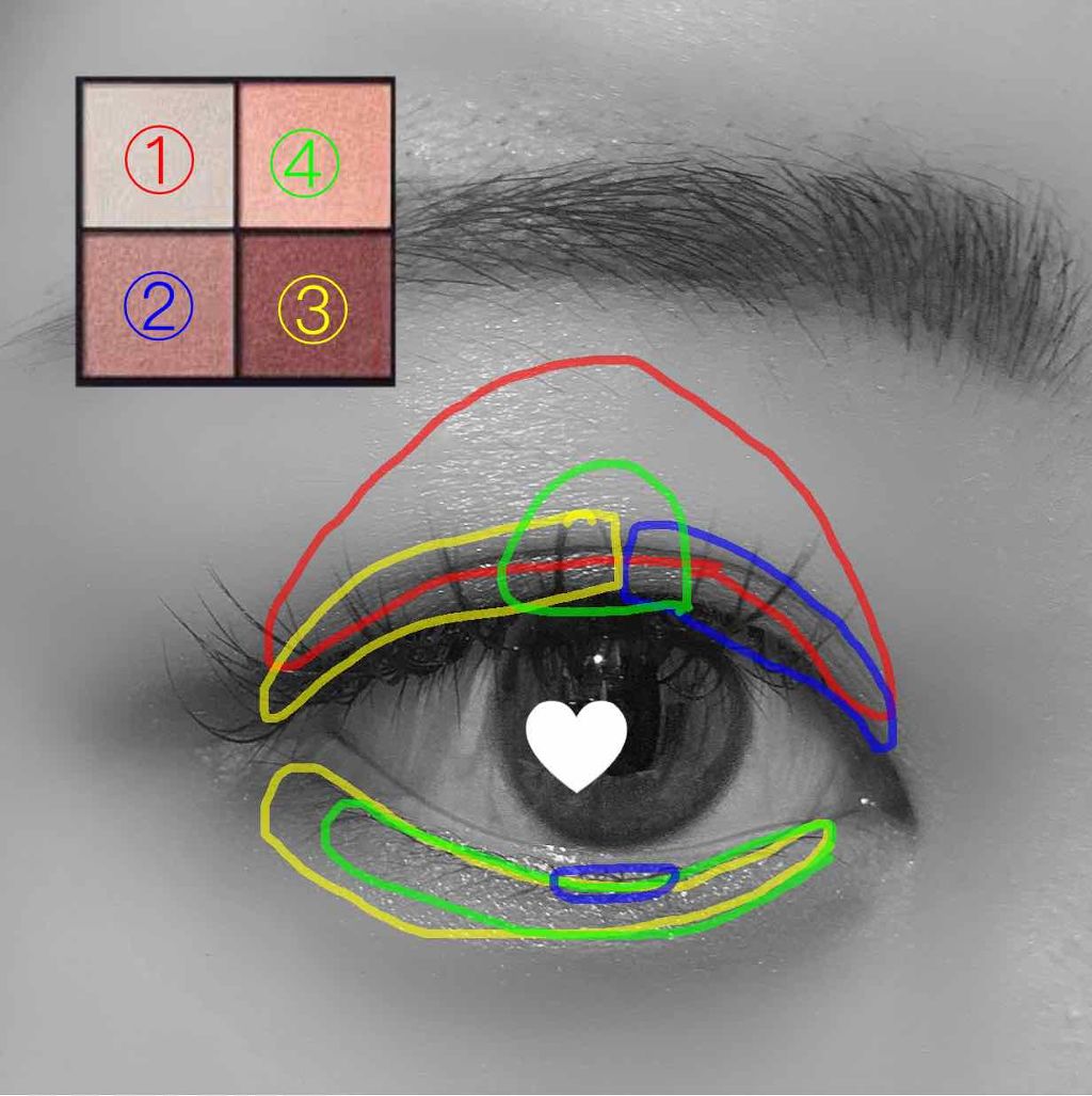リアルクローズシャドウ/excel/アイシャドウパレットを使ったクチコミ(2枚目)