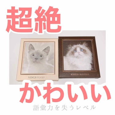 ＊2.3枚目スウォッチ

かわいい！！！！！🤦‍♀️🤦‍♀️🤦‍♀️🐱🐱🐱✨

もうとにかく可愛いです。
全ての猫好き、
アイシャドウ好き、
ラメ好き、
中国コスメ好き、
におすすめします！！！！！！！