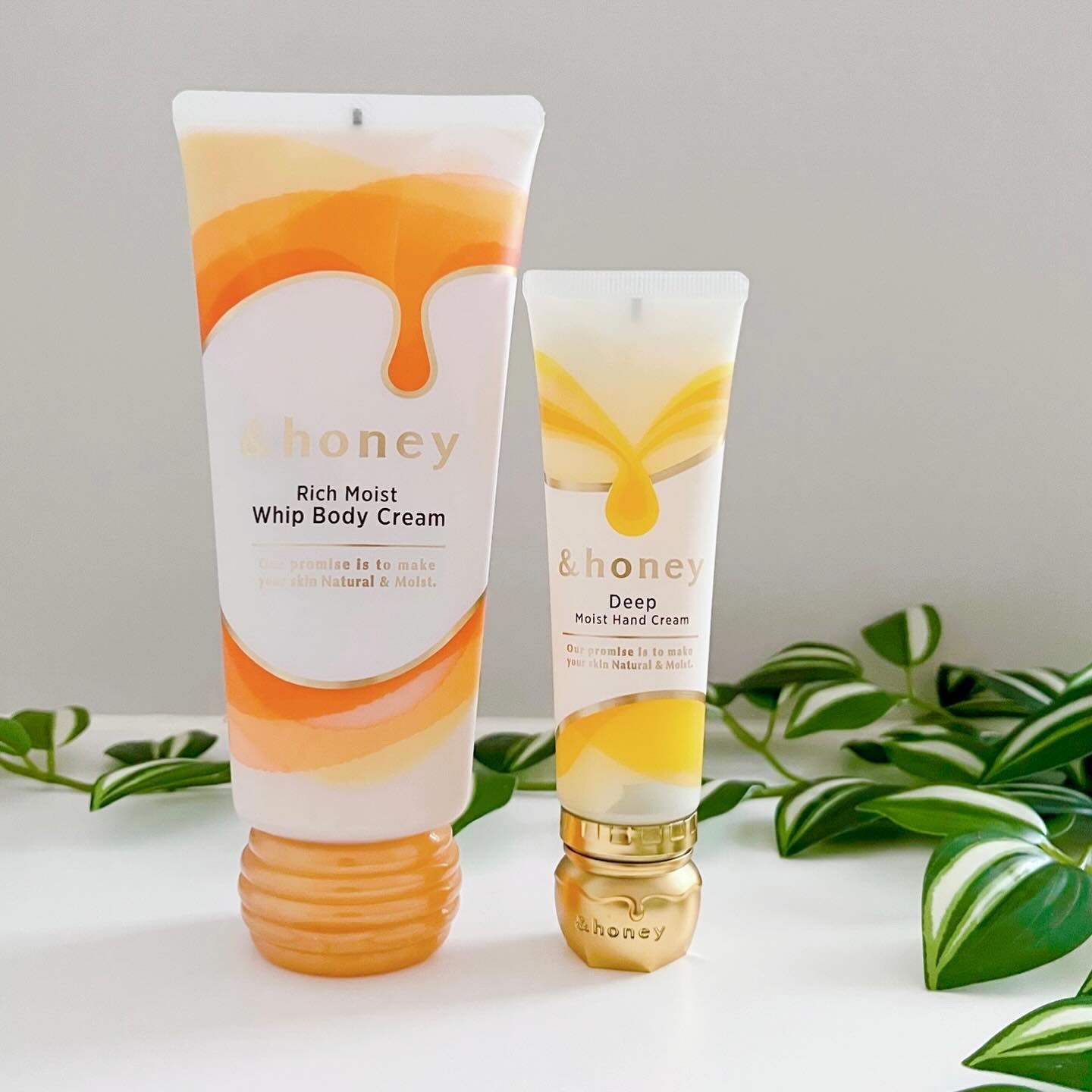 アンドハニー　リッチモイスト ホイップボディクリーム/&honey/ボディクリームを使ったクチコミ（2枚目）