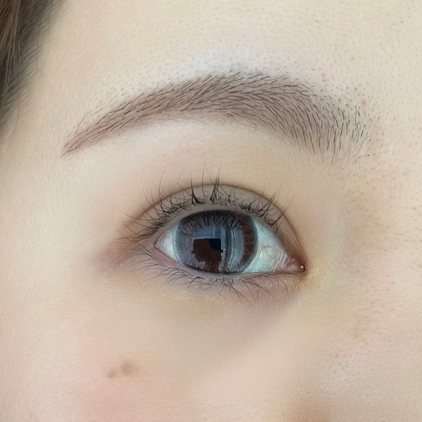 U.P.D. 1day/U.P.D./ワンデー(1DAY)カラコンを使ったクチコミ(4枚目)