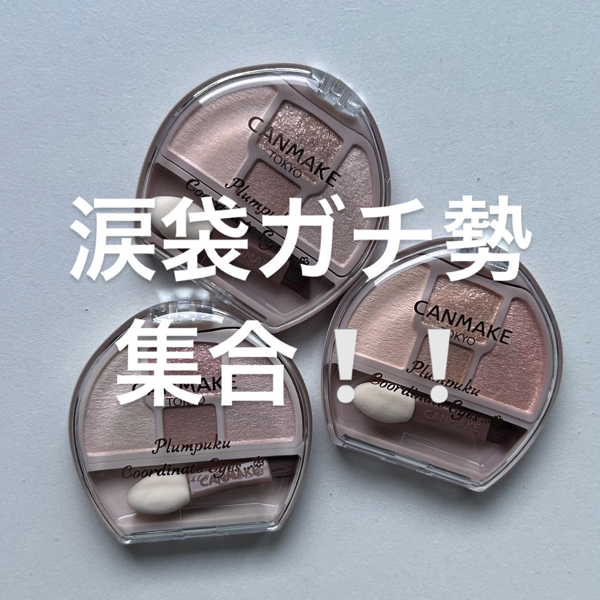 プランぷくコーデアイズ/キャンメイク/パウダーアイシャドウを使ったクチコミ（1枚目）